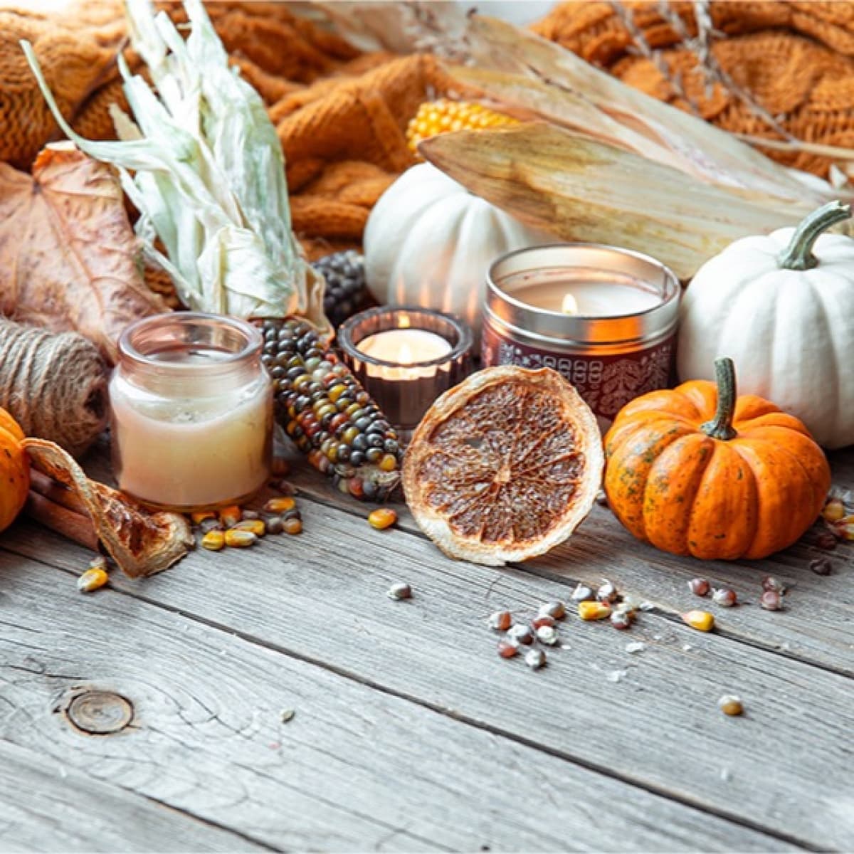 Se faire plaisir sur sa décoration - Robin's Touch cover