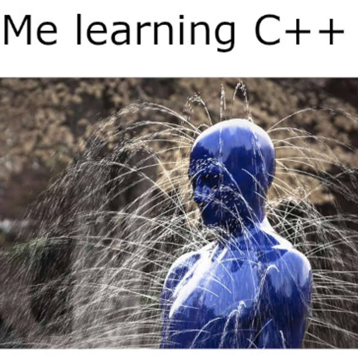 181: Memory Management - Programming Throwdown cover