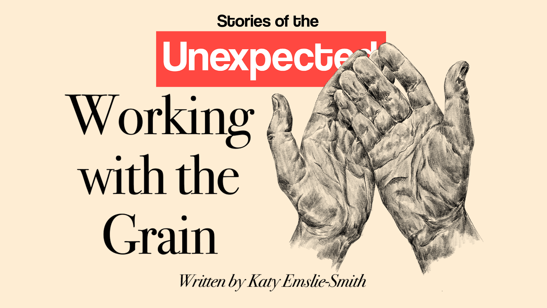 Working with the Grain by Katy Emslie-Smith - Sanctuary First cover