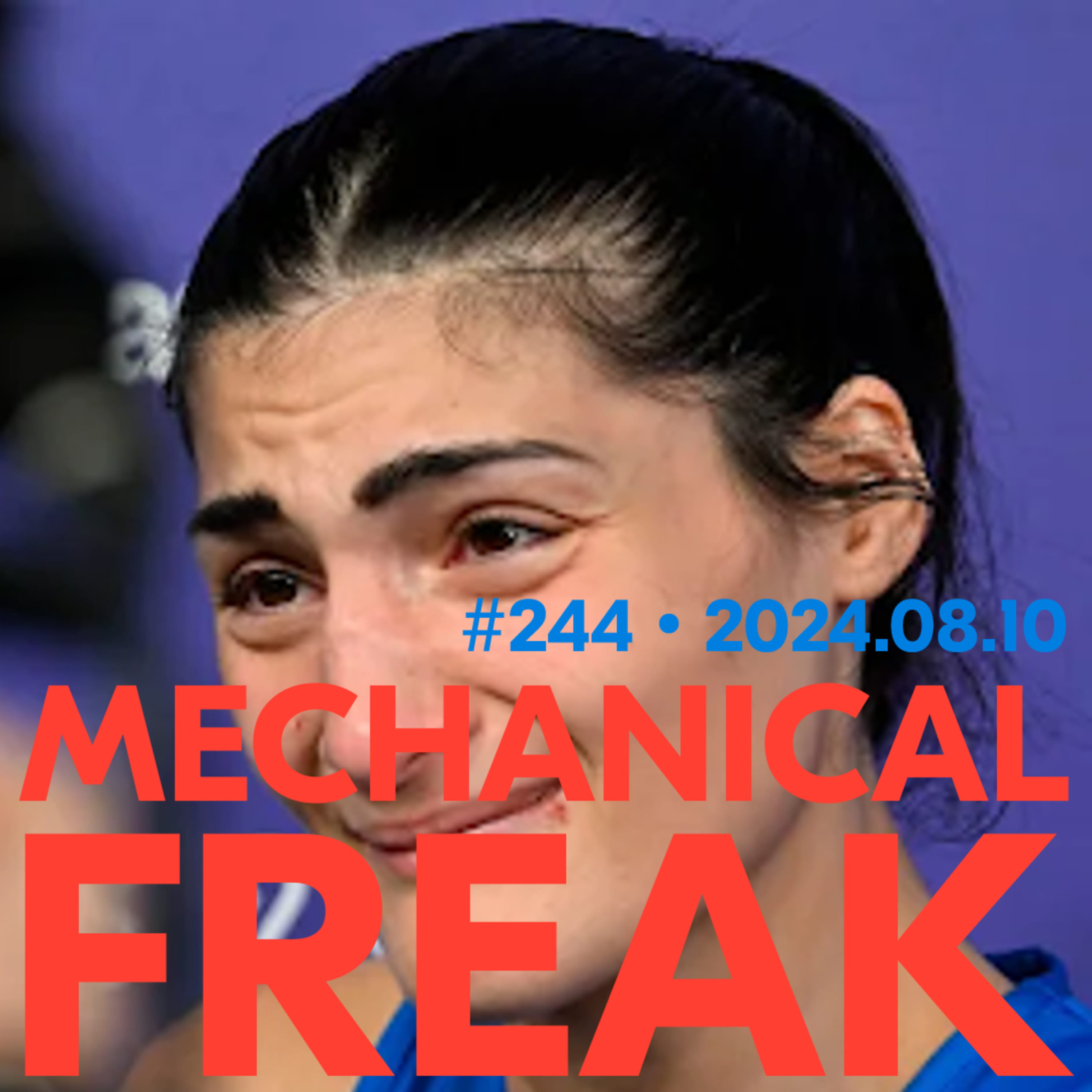 A Bridge Too Far? - Mechanical Freak cover