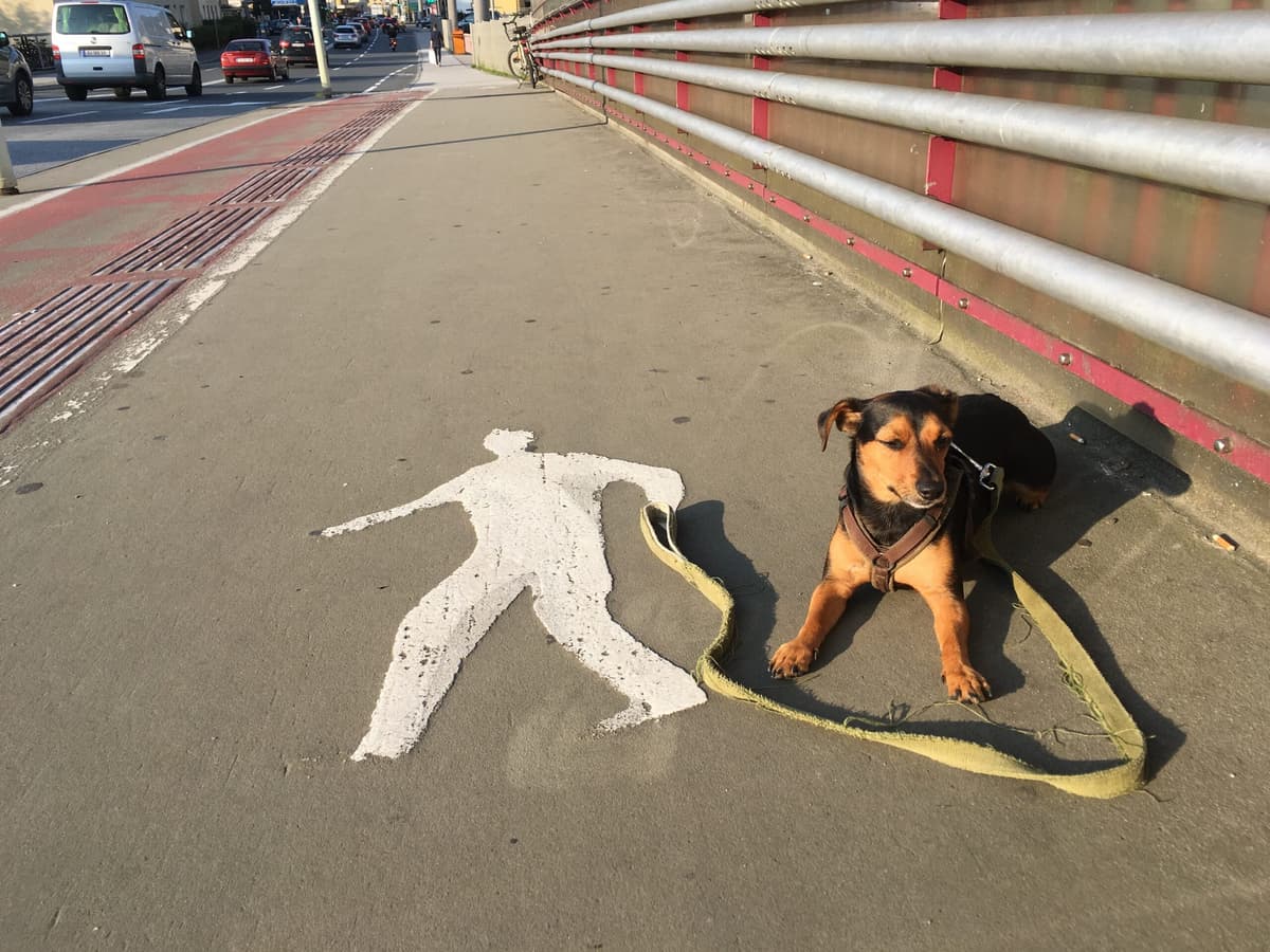 LUT091 Verkehrsplanung in Salzburg: Gehsteiggespräch mit Michael Schwifcz - Lobster und Tentakel cover