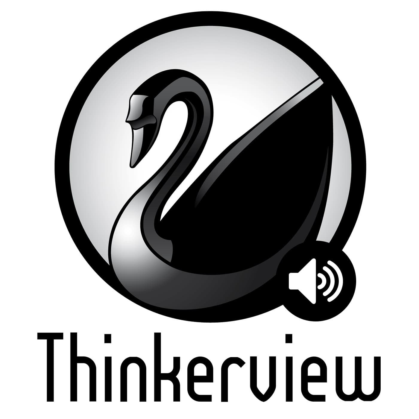 Thinkerview cover