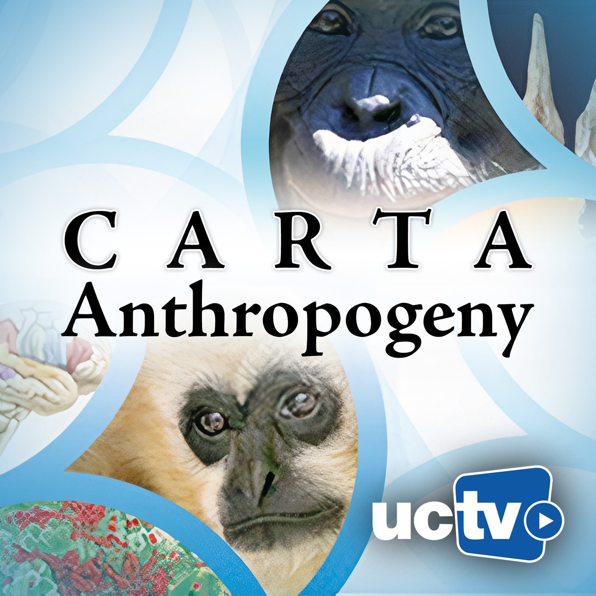 CARTA - Anthropogeny (Video) cover