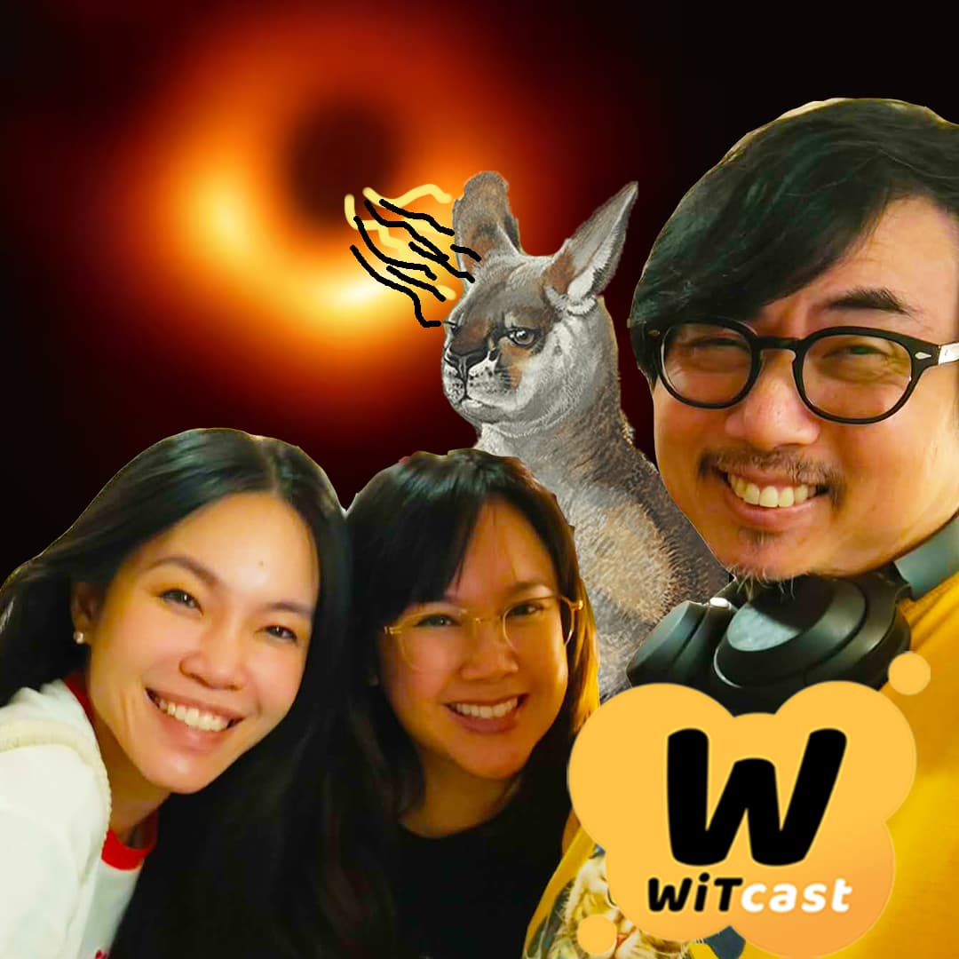 WiTcast 167 – เชอร์รี่มาฮาเฮ / หลุมดำ / BRAND APPÉTIT / จิงโจ้ยักษ์ - WiTcast cover