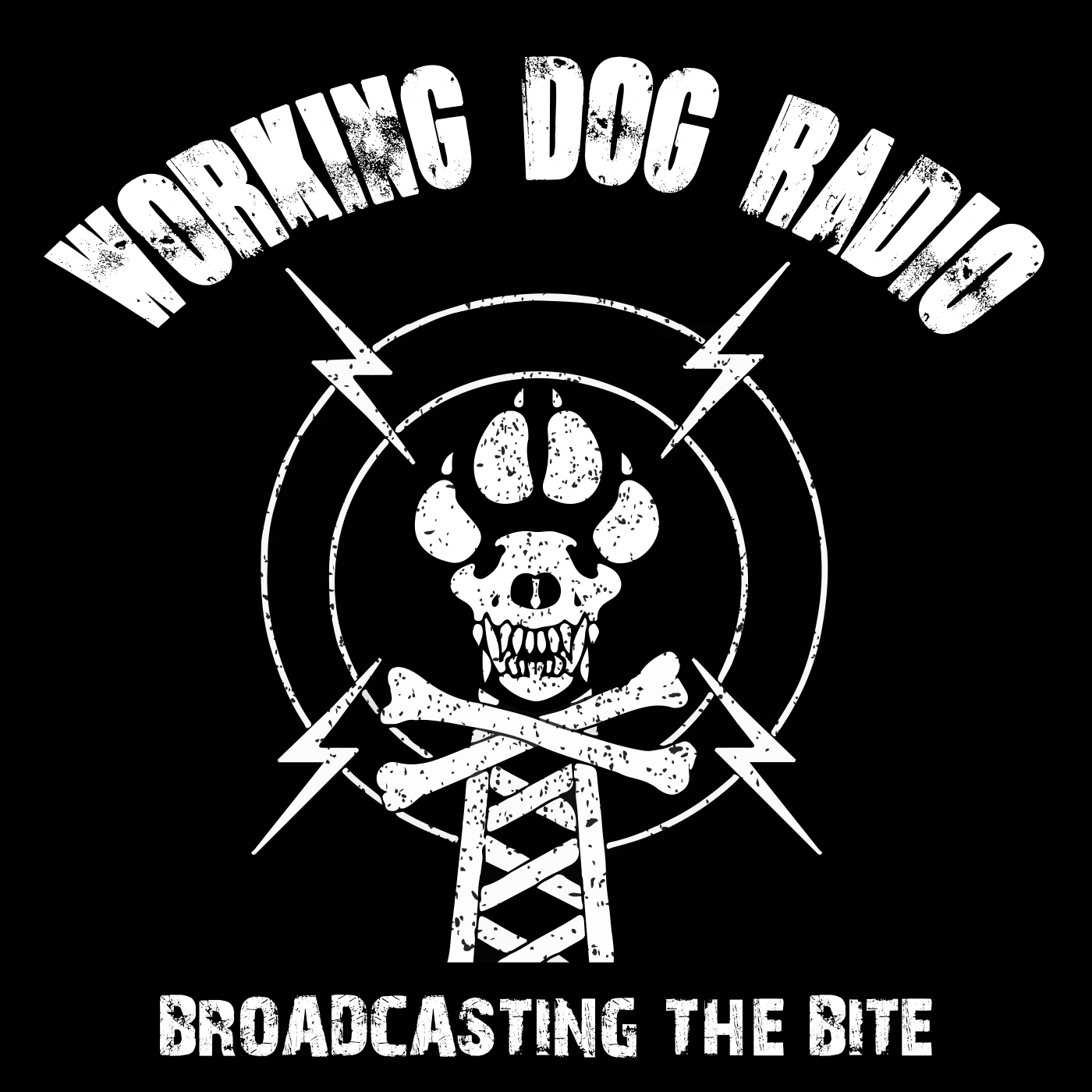 Episode 191:⁣ Interdiction Mastermind with Kenny Williams ⁣ - Working Dog Radio cover
