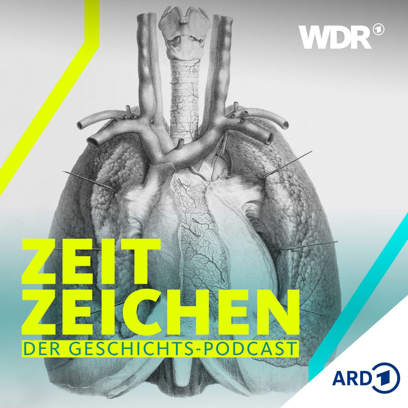 Meilenstein der modernen Gerichtsmedizin: die "Lungenschwimmprobe" - WDR Zeitzeichen cover