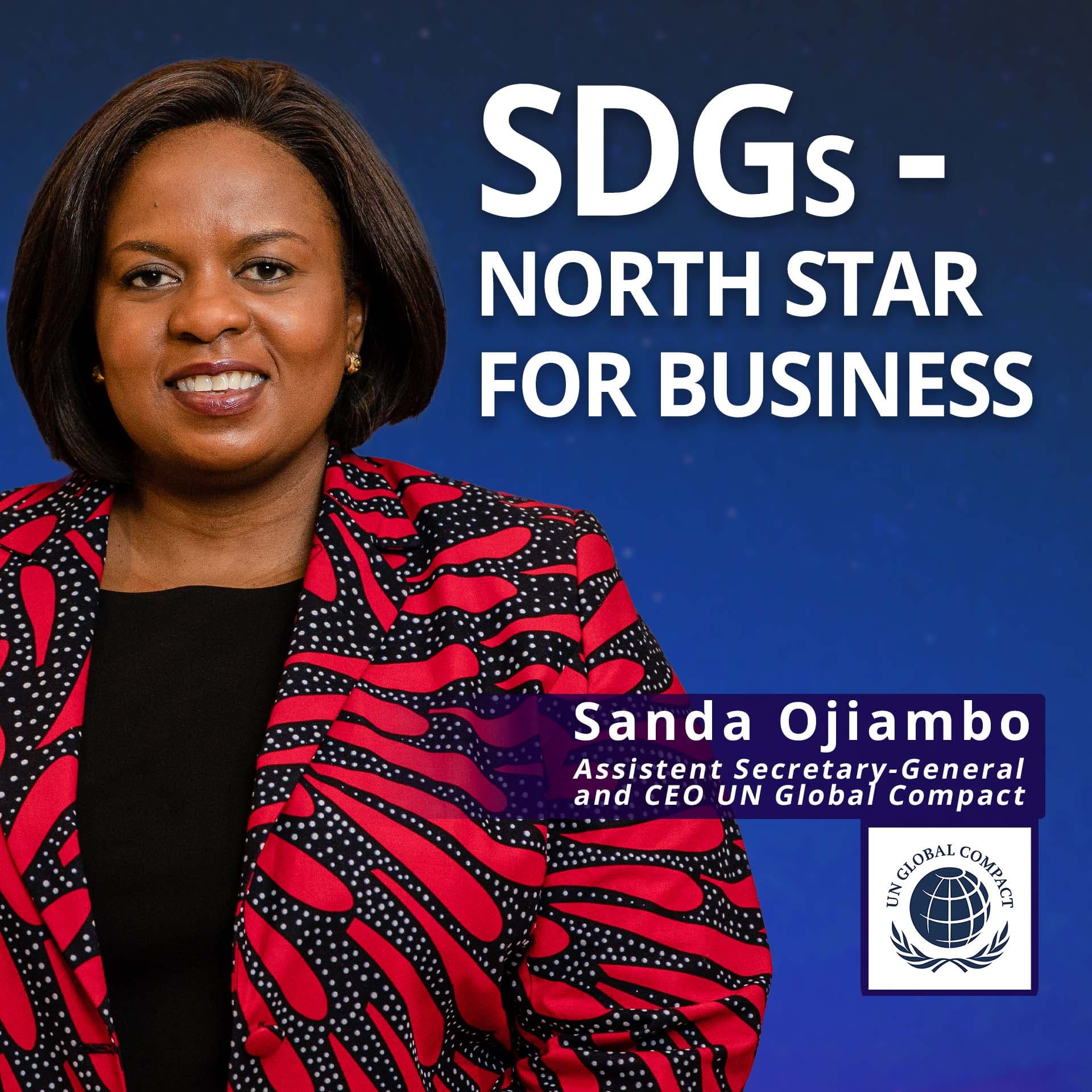 UN Global Compact: SDGs - the North Star for Business - DerGrosseNeustart cover
