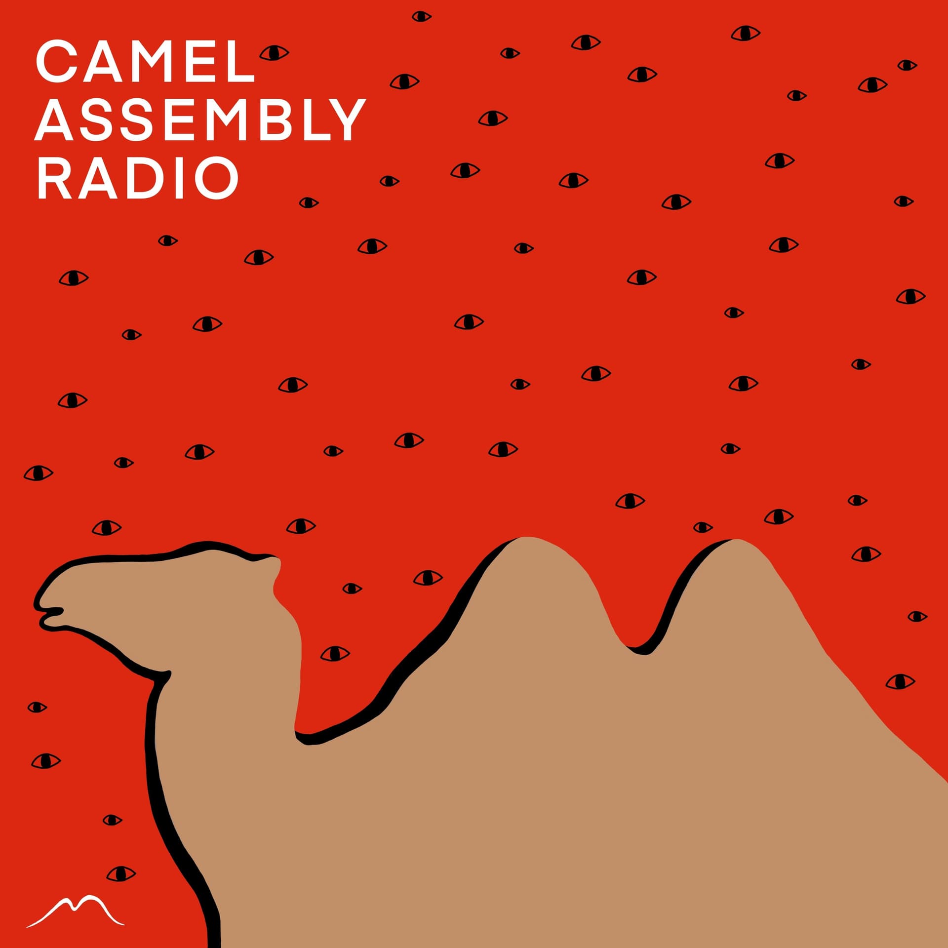 Camel Assembly Radio cover