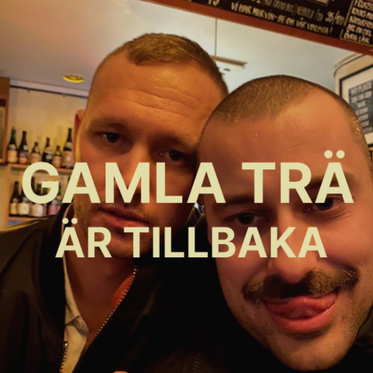 Avsnitt 43 – Spådamen, Sandviken & Andrew Tate - Gamla Trä – Ett Radioprogram om Svartvit Kärlek cover