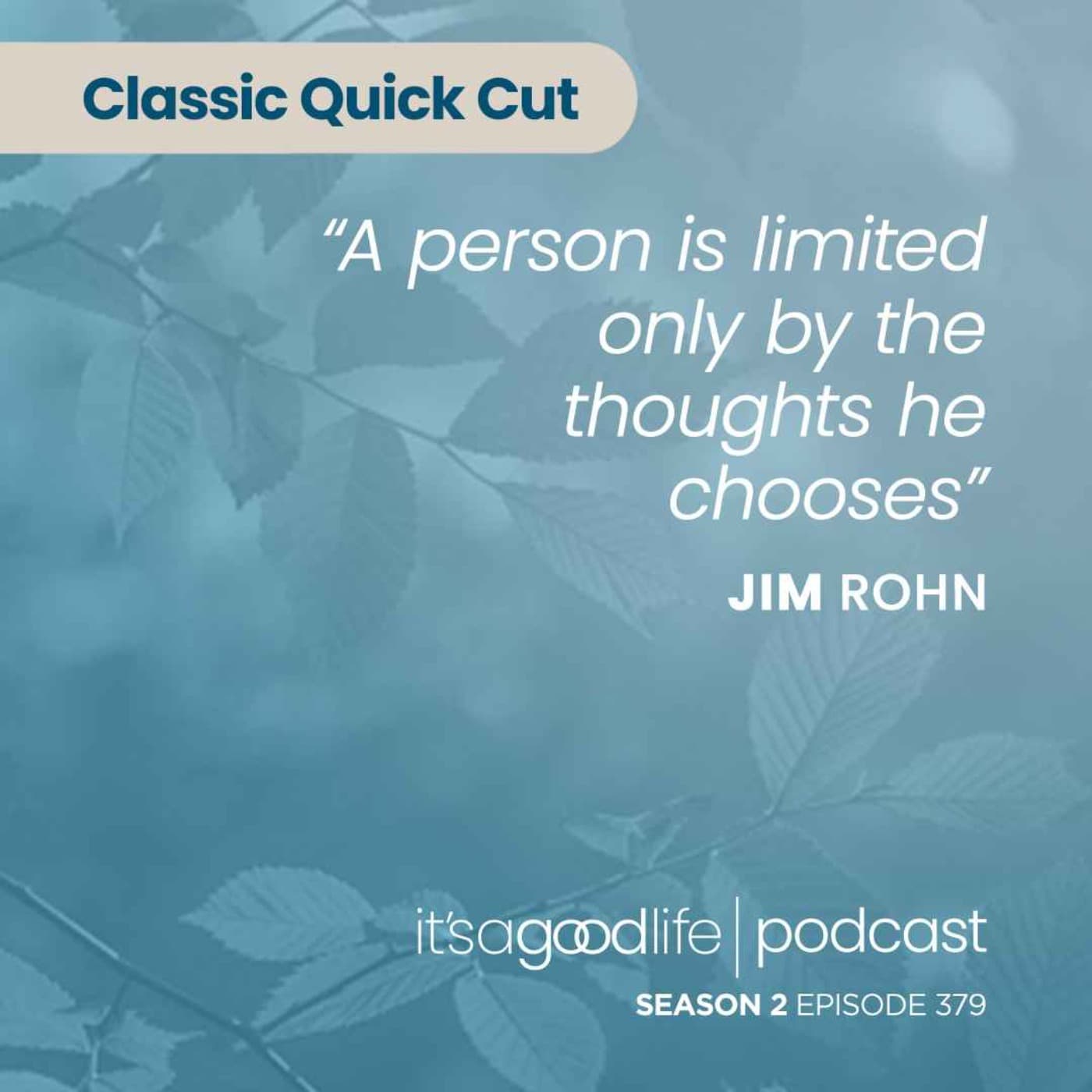 Quick Cut: S2E379 Change Your Thoughts, Change Your Life - The Brian Buffini Show cover