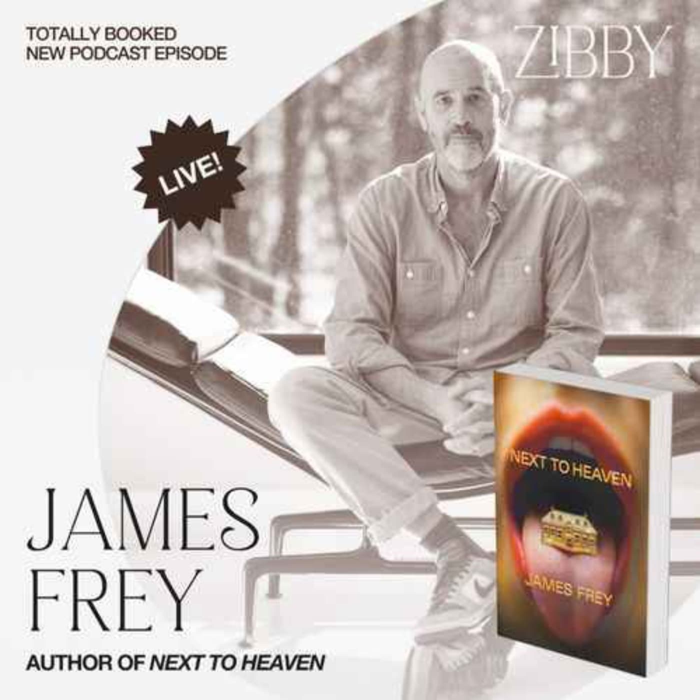 James Frey, NEXT TO HEAVEN: A Novel - Totally Booked with Zibby cover