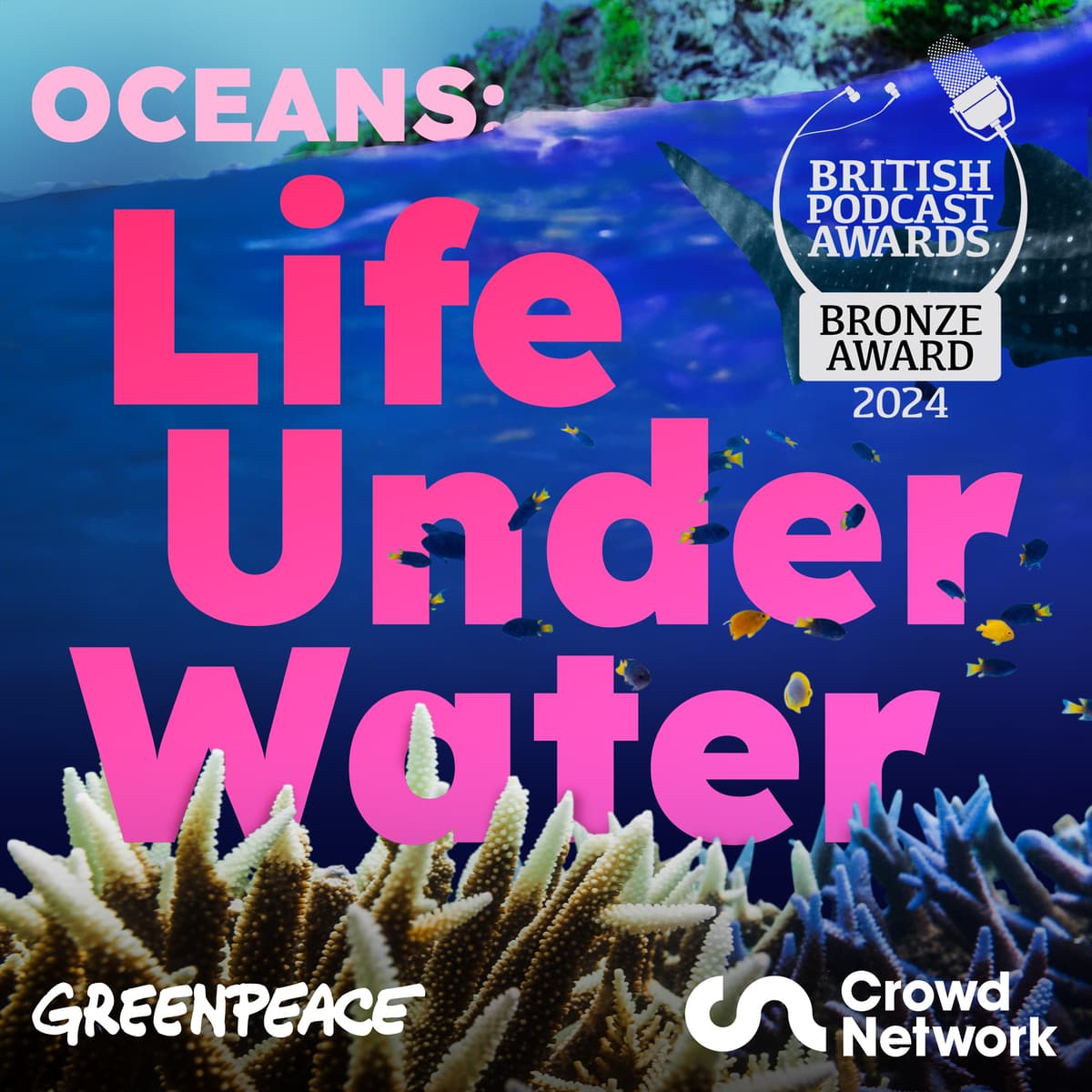 Introducing...Oceans: Life Under Water - The Walkers: The real Salt Path | Tortoise Investigates cover