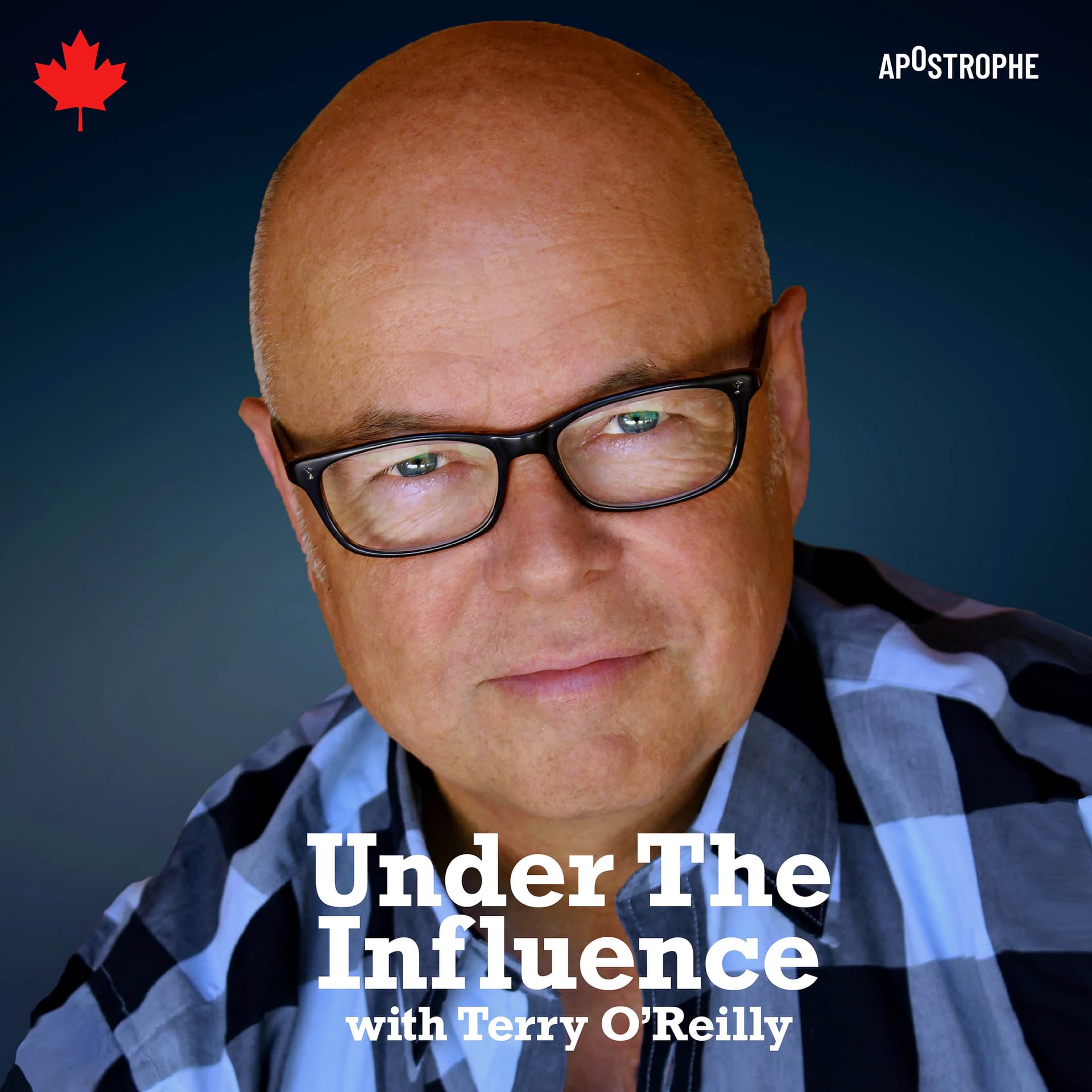 Plop, Plop, Fizz, Fizz: How Companies Double Their Profits - Under the Influence with Terry O'Reilly cover