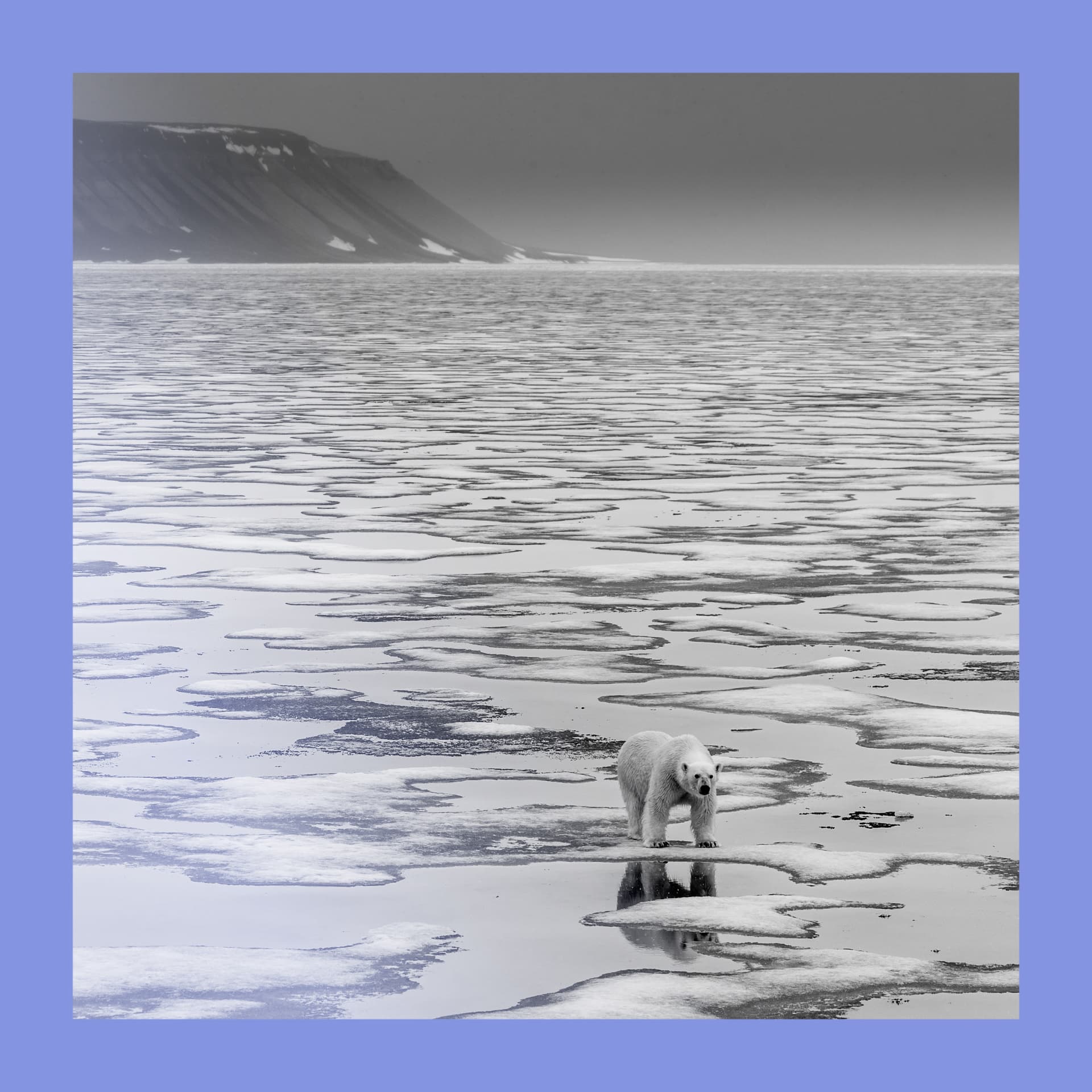 Ice, ice, maybe: should the Arctic be refrozen? - Economist Podcasts cover