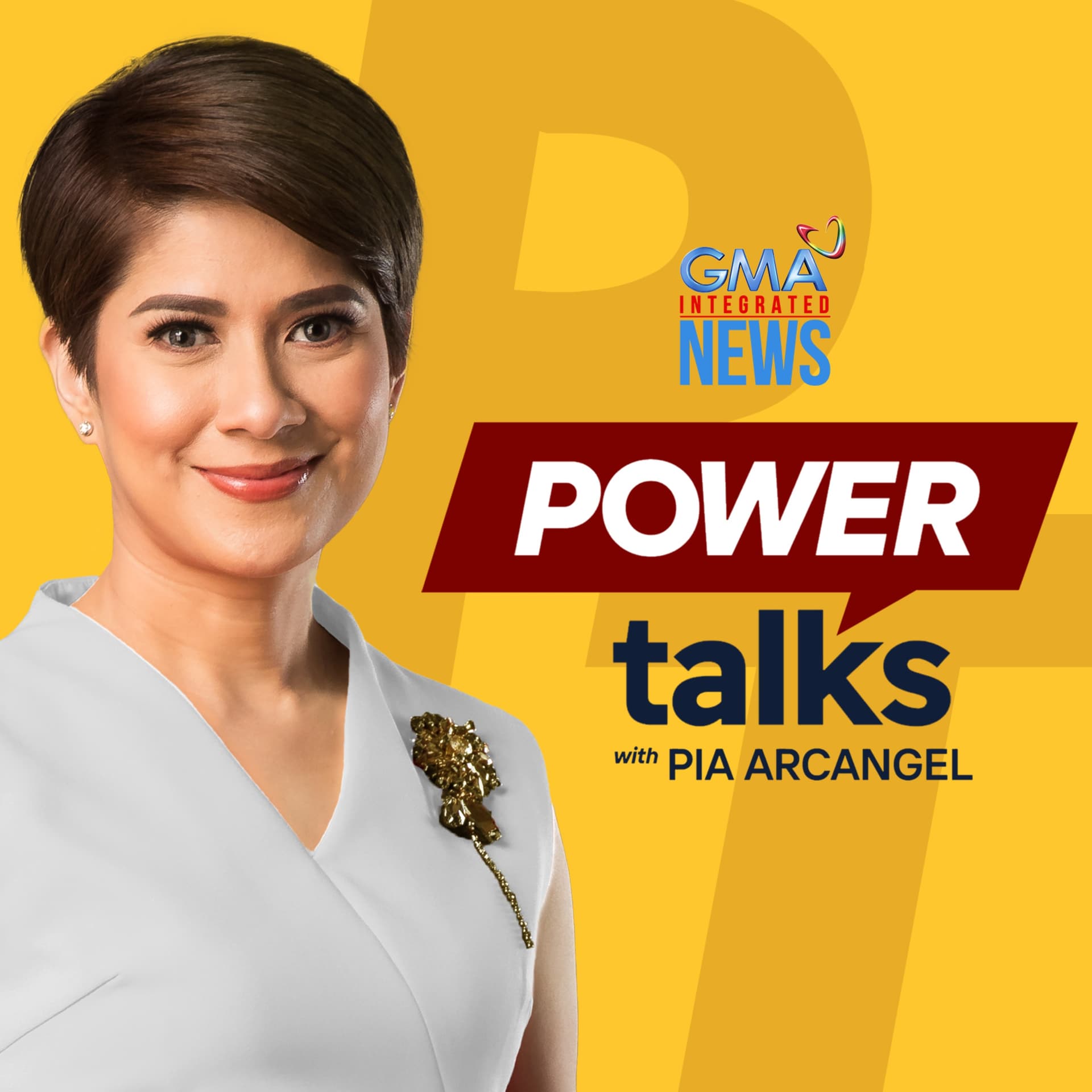 Power Talks with Pia Arcangel cover