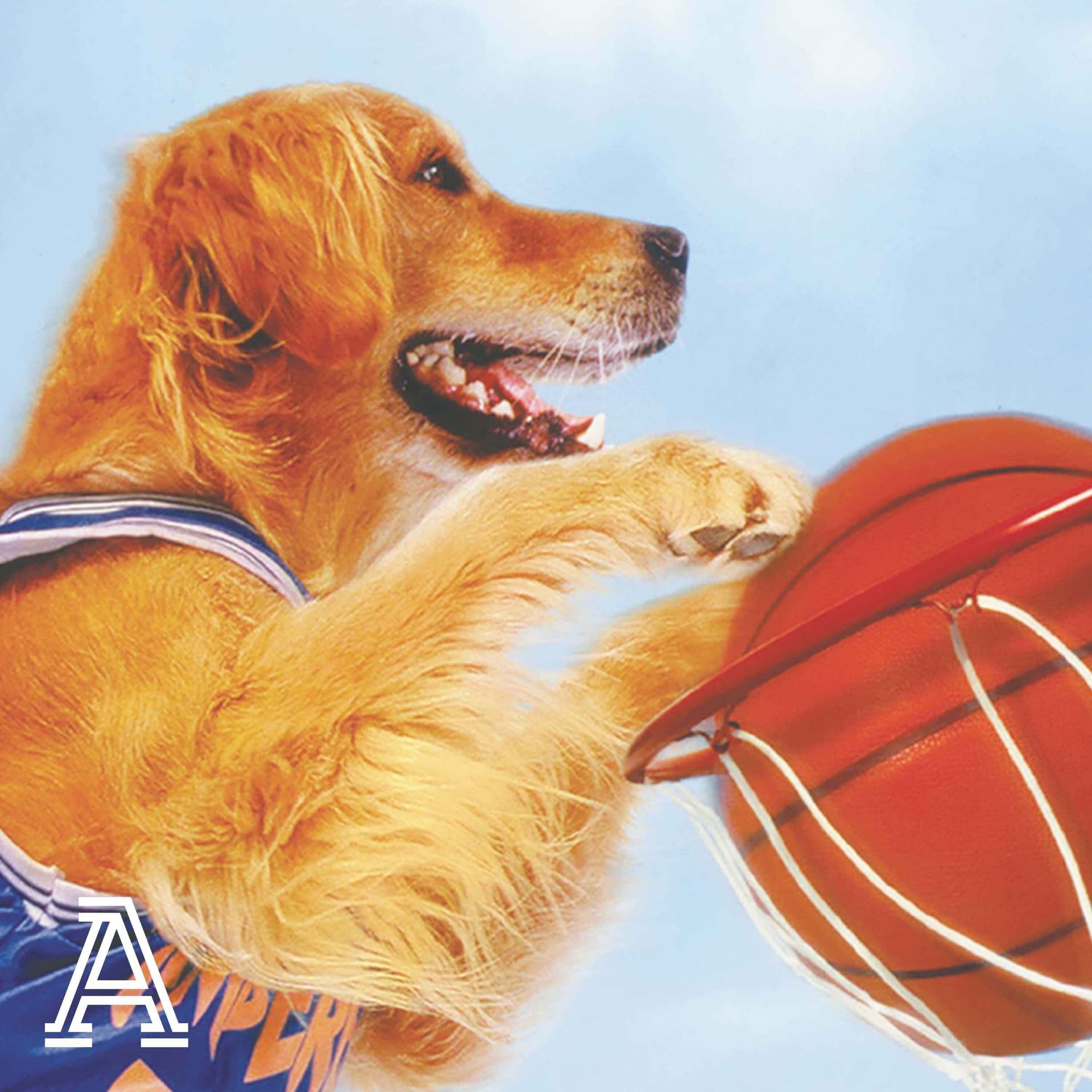 Revisiting 'Air Bud' | Film Session - No Dunks cover