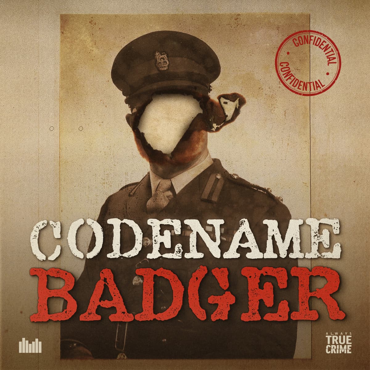 Introducing... Codename Badger - Toil and Trouble cover