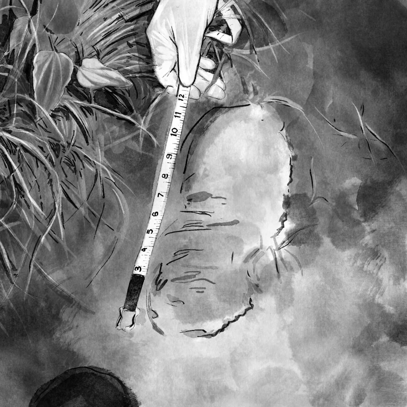 311. The West Memphis 3 Part 11 -- Animal Predation? - The Prosecutors cover