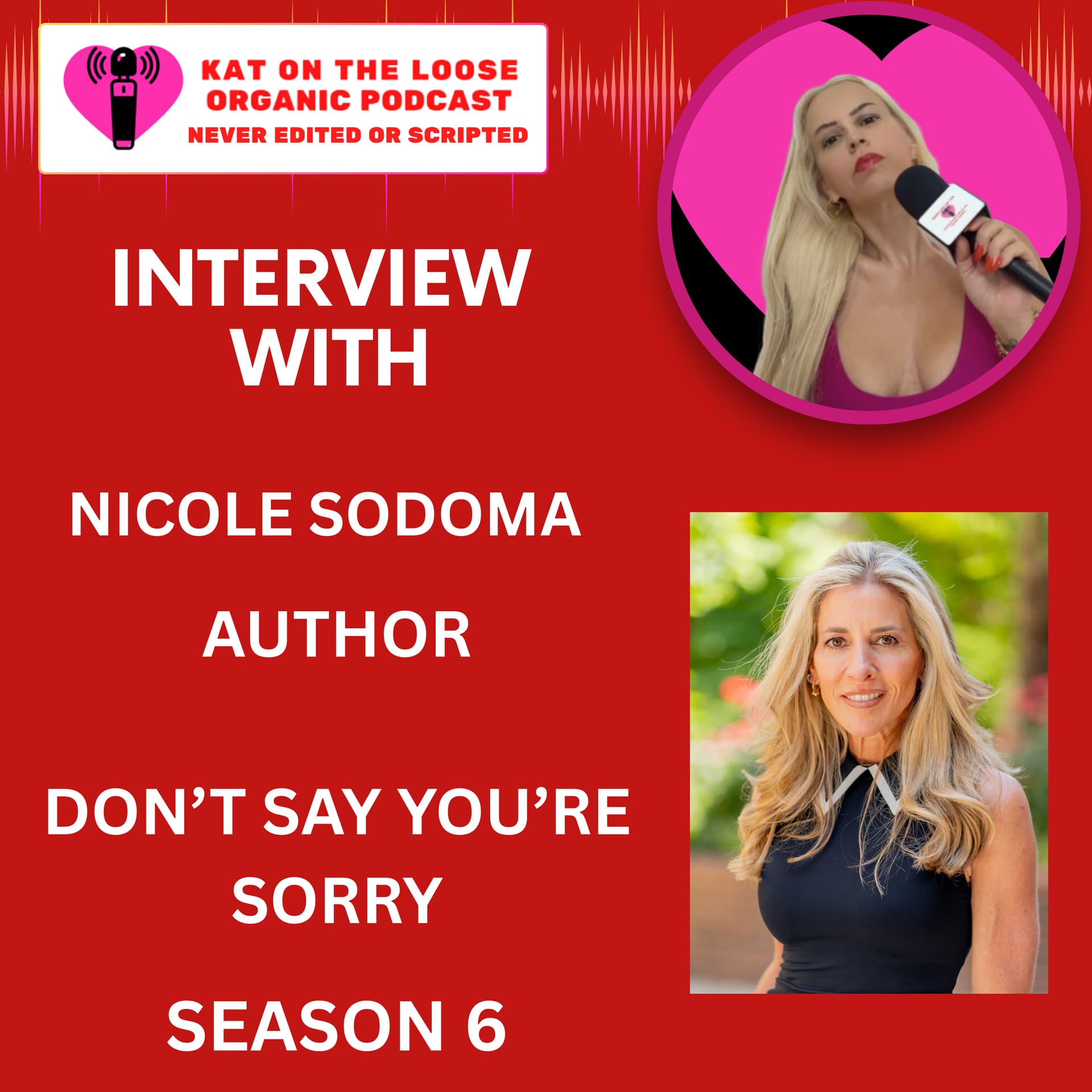 DON'T SAY YOU'RE SORRY WITH NICOLE SODOMA - Kat on the Loose cover