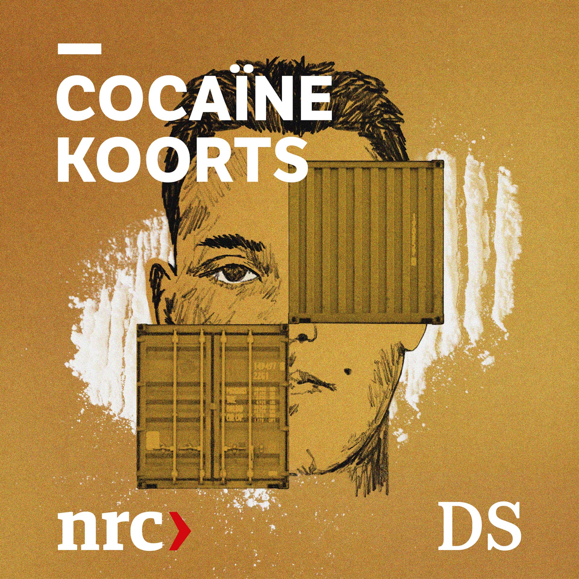 Cocaïnekoorts: De zaak Bressers cover