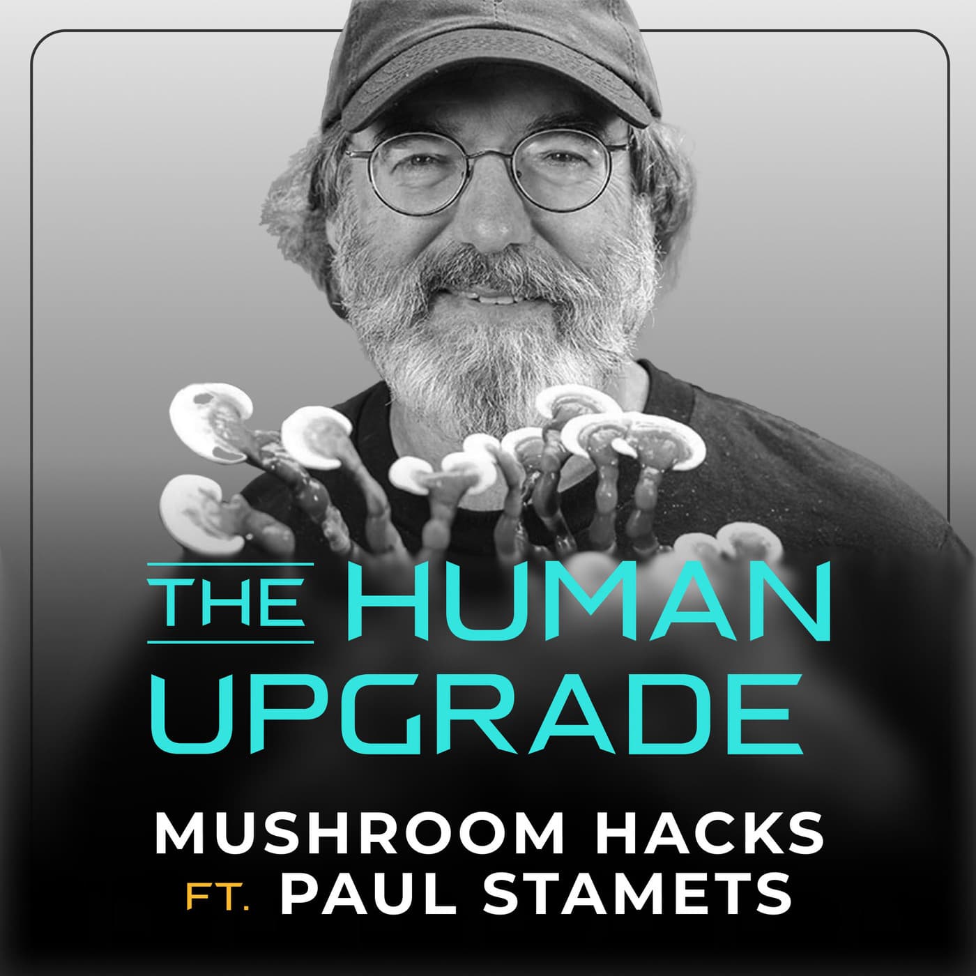 Eat THESE Anti-Aging Mushrooms to Live Longer (Paul Stamets) : 1327 - The Human Upgrade: Biohacking for Longevity & Performance cover