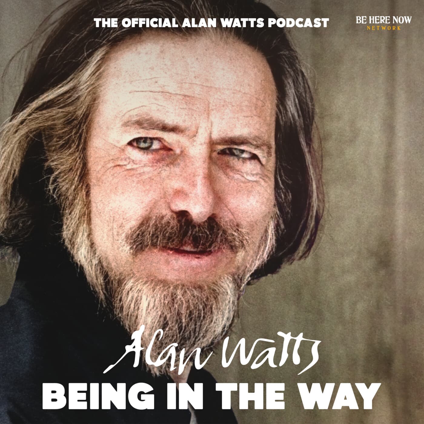 Ep. 36 – Seeing through The Net - Alan Watts Being in the Way cover