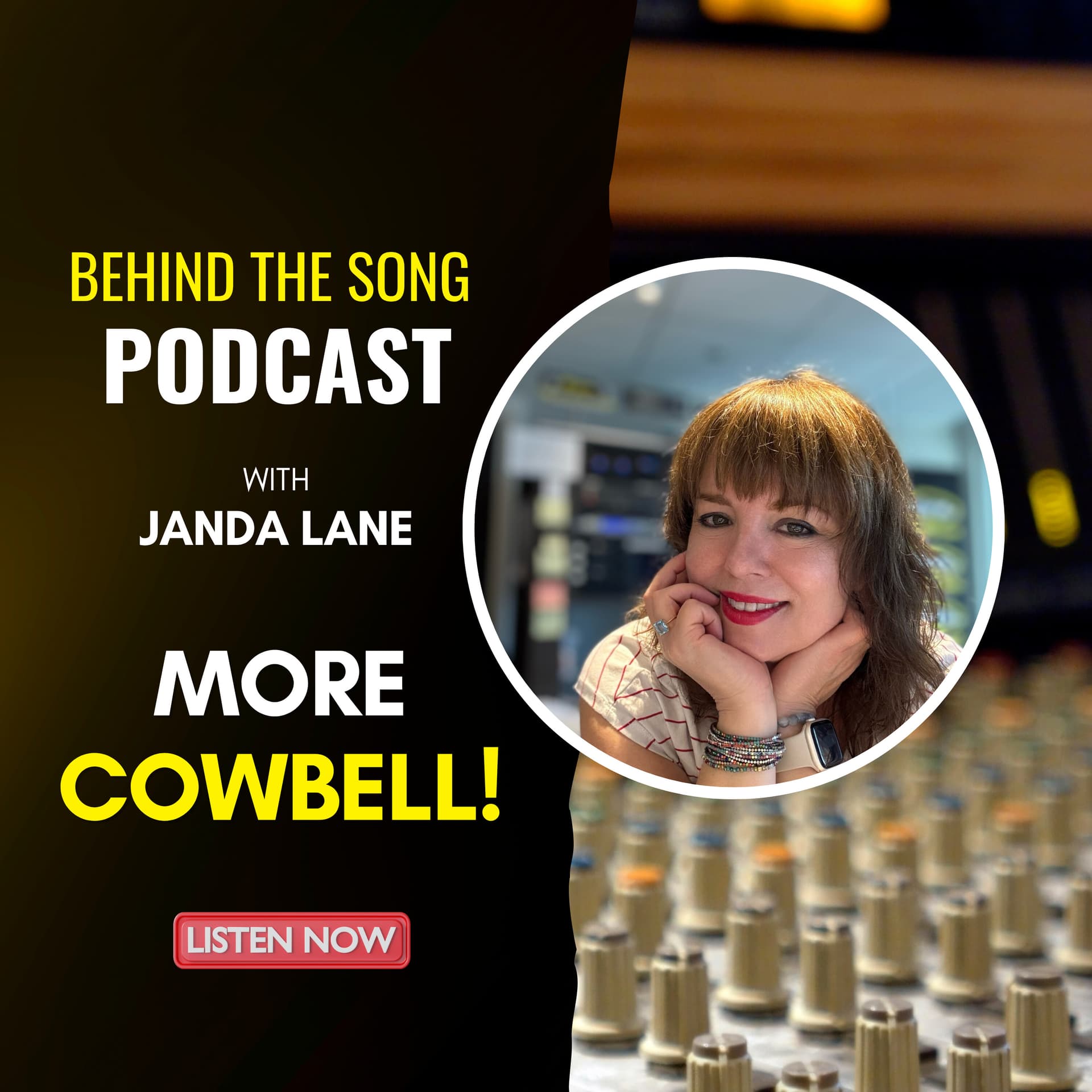 More Cowbell!!! - Behind The Song: Classic Rock Chronicles cover