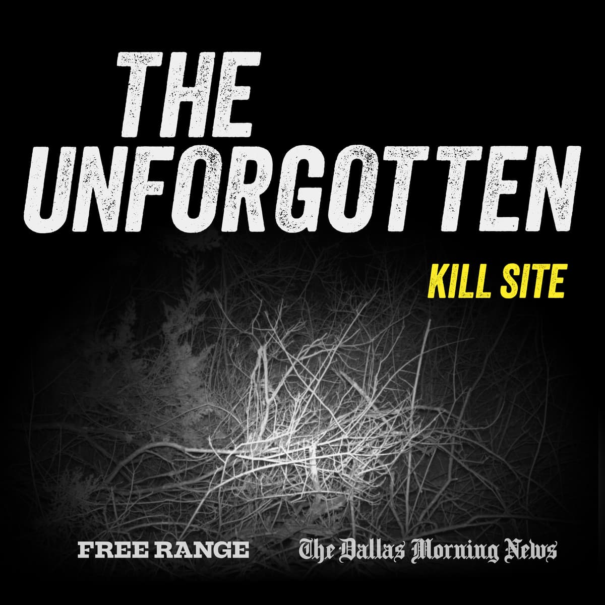 8. What Really Happened - The Unforgotten cover