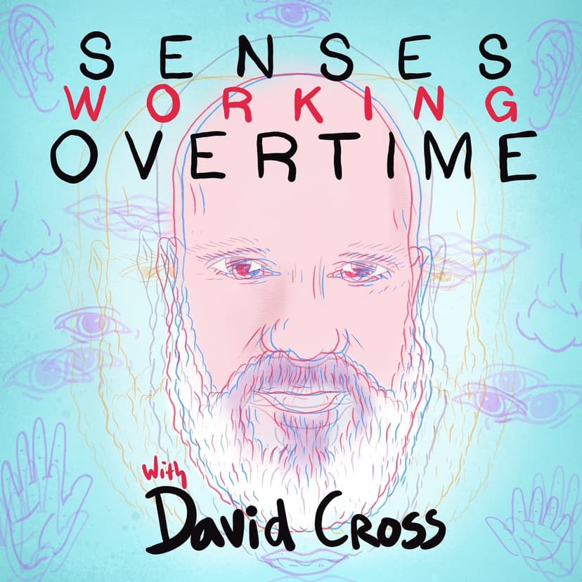 Senses Working Overtime with David Cross cover