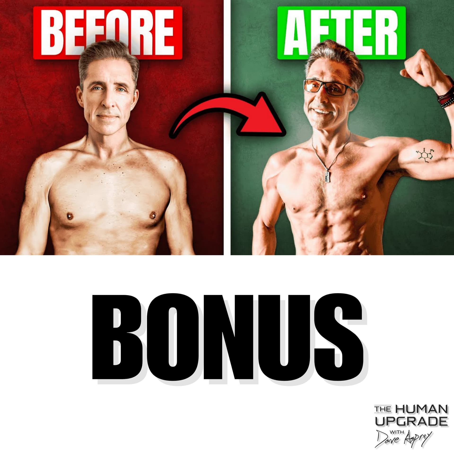 BONUS: How To Reverse Testosterone Decline After 40 (Biohacking Tips) : 1328 - The Human Upgrade: Biohacking for Longevity & Performance cover