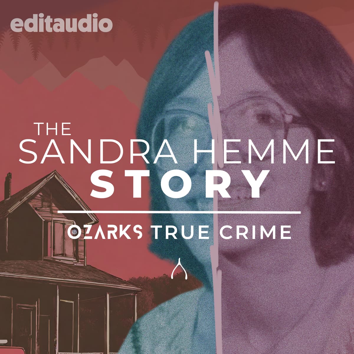 The Sandra Hemme Story Ep. 6: Live from the Hearing Part 3 - Ozarks True Crime cover