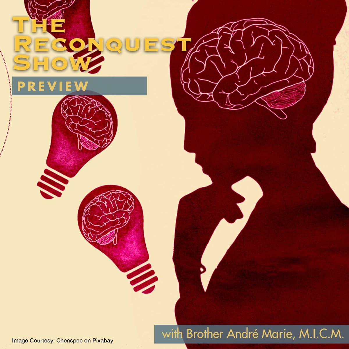 PREVIEW RCS 496: Have We Lost the Concept of Conscience? - The Crusade Channel Previews cover