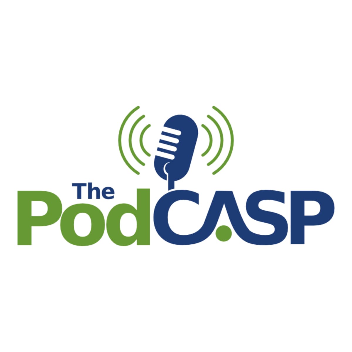 Financials, Productivity and Growth with Lani Fritts and Rohit Verma- Part One - The PodCASP cover