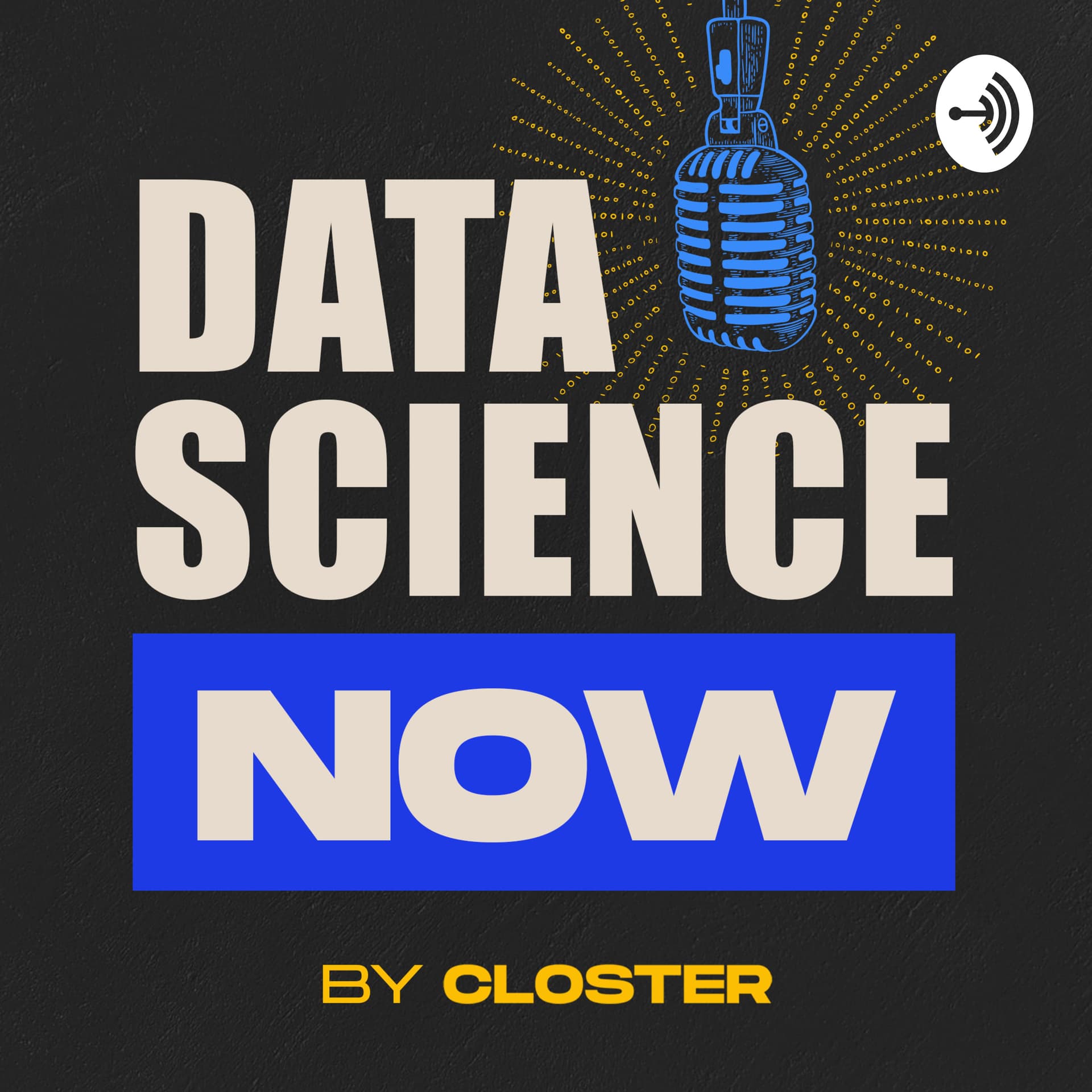 Data Science Now cover