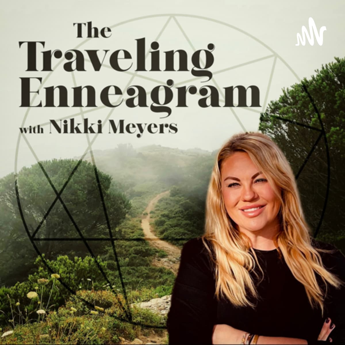 Cannonball! Going into the Deep End & Understanding the Instinctual Drives - The Traveling Enneagram cover