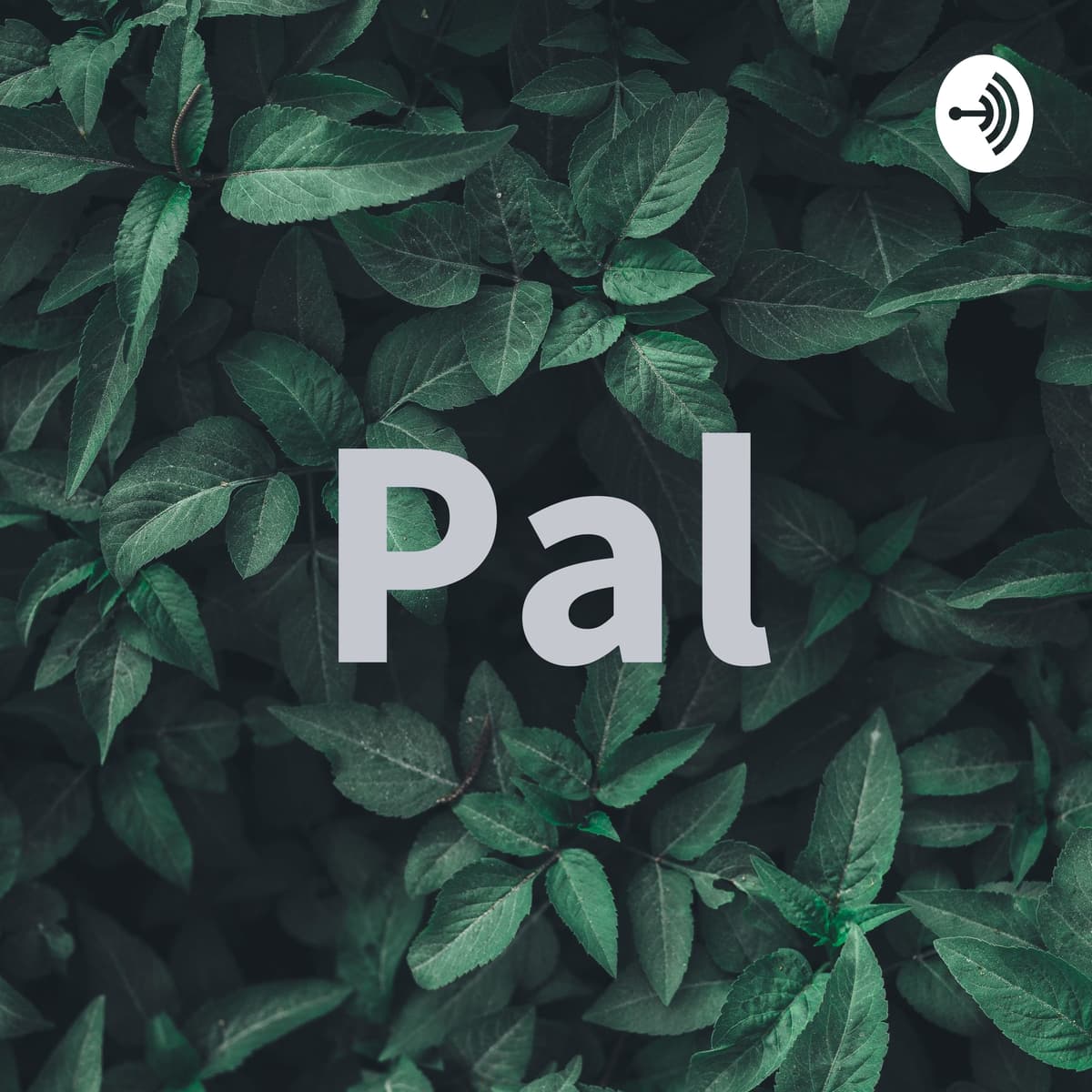 Moments that matter - Pal cover