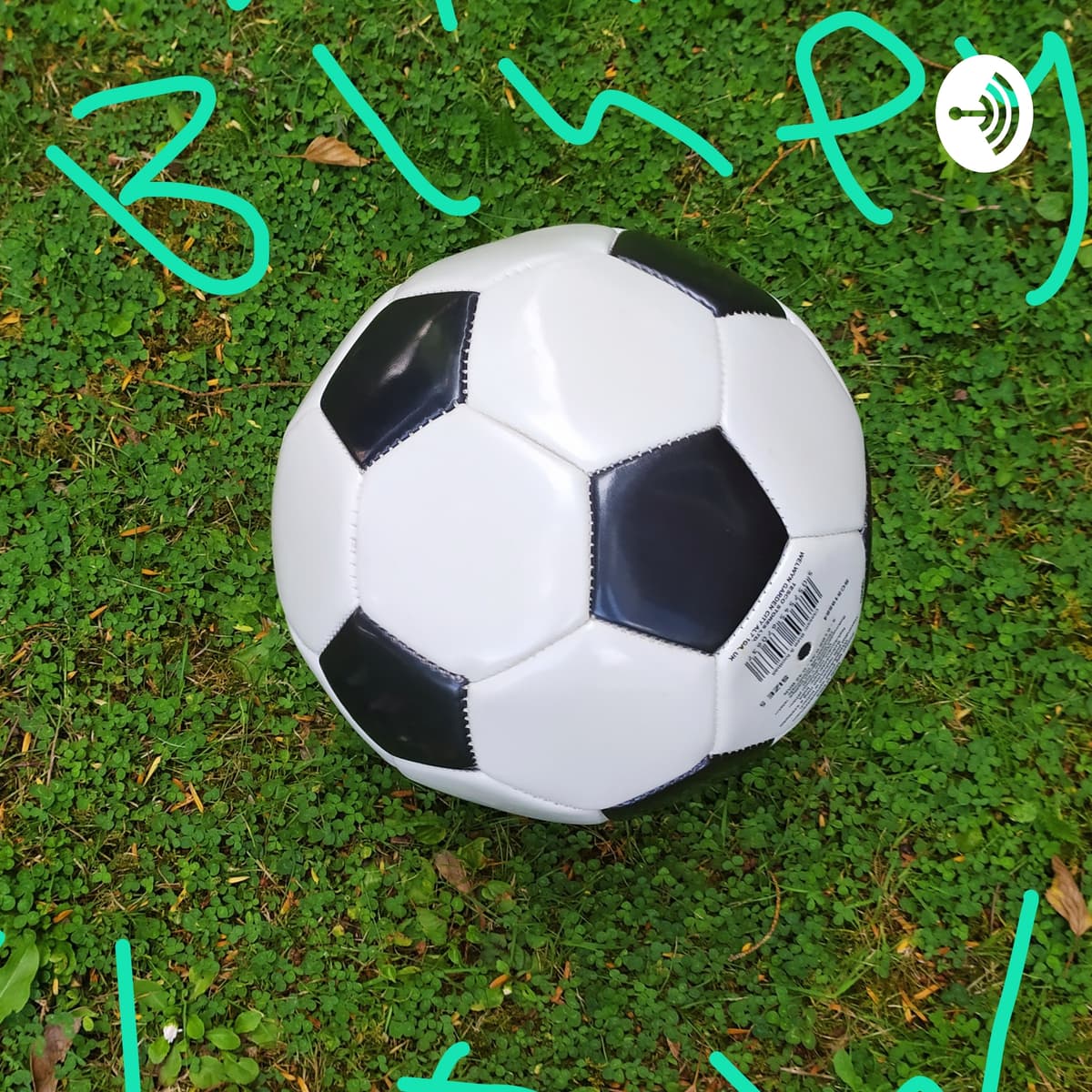 The Bluey Show (Trailer) - The Bluey Show cover