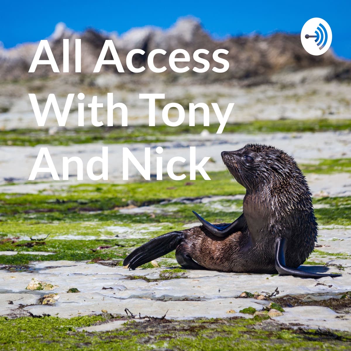 Test episode - All Access With Tony And Nick cover