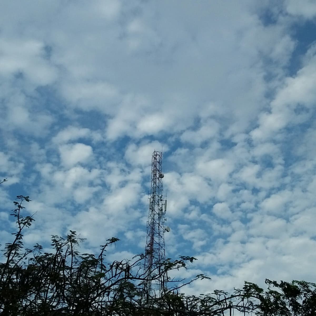 04. Canggung - Cia cover