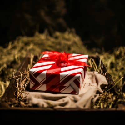 The Greatest Gift - A Closer Look cover