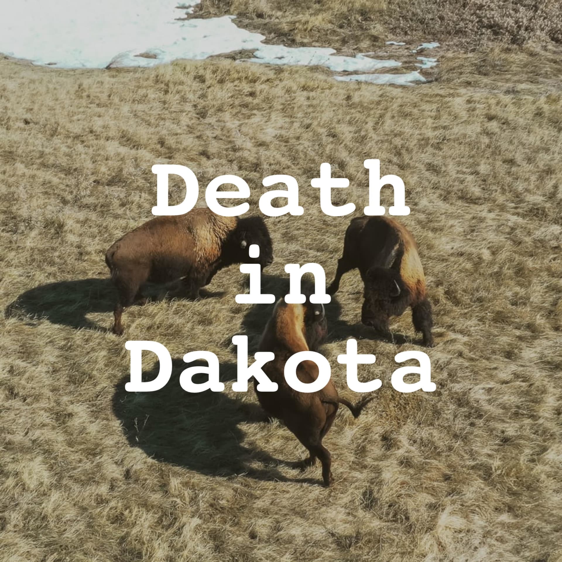 Death in Dakota cover