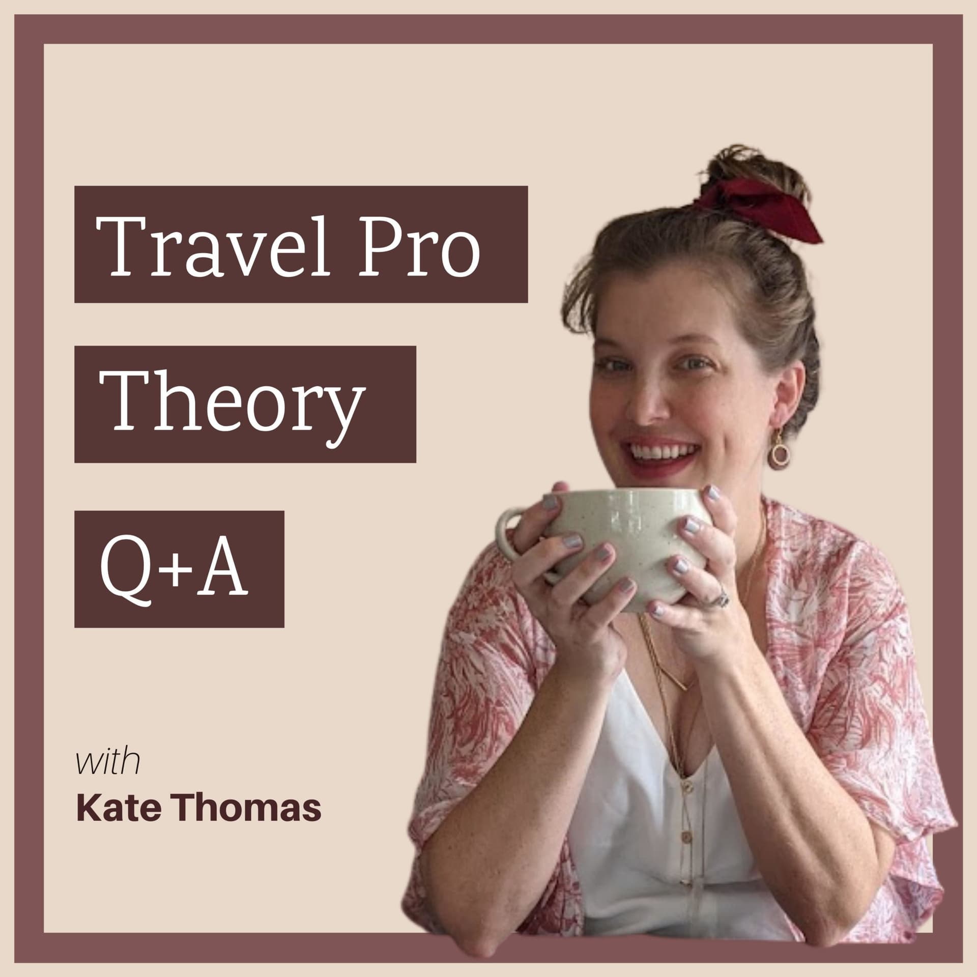 Travel Pro Theory cover
