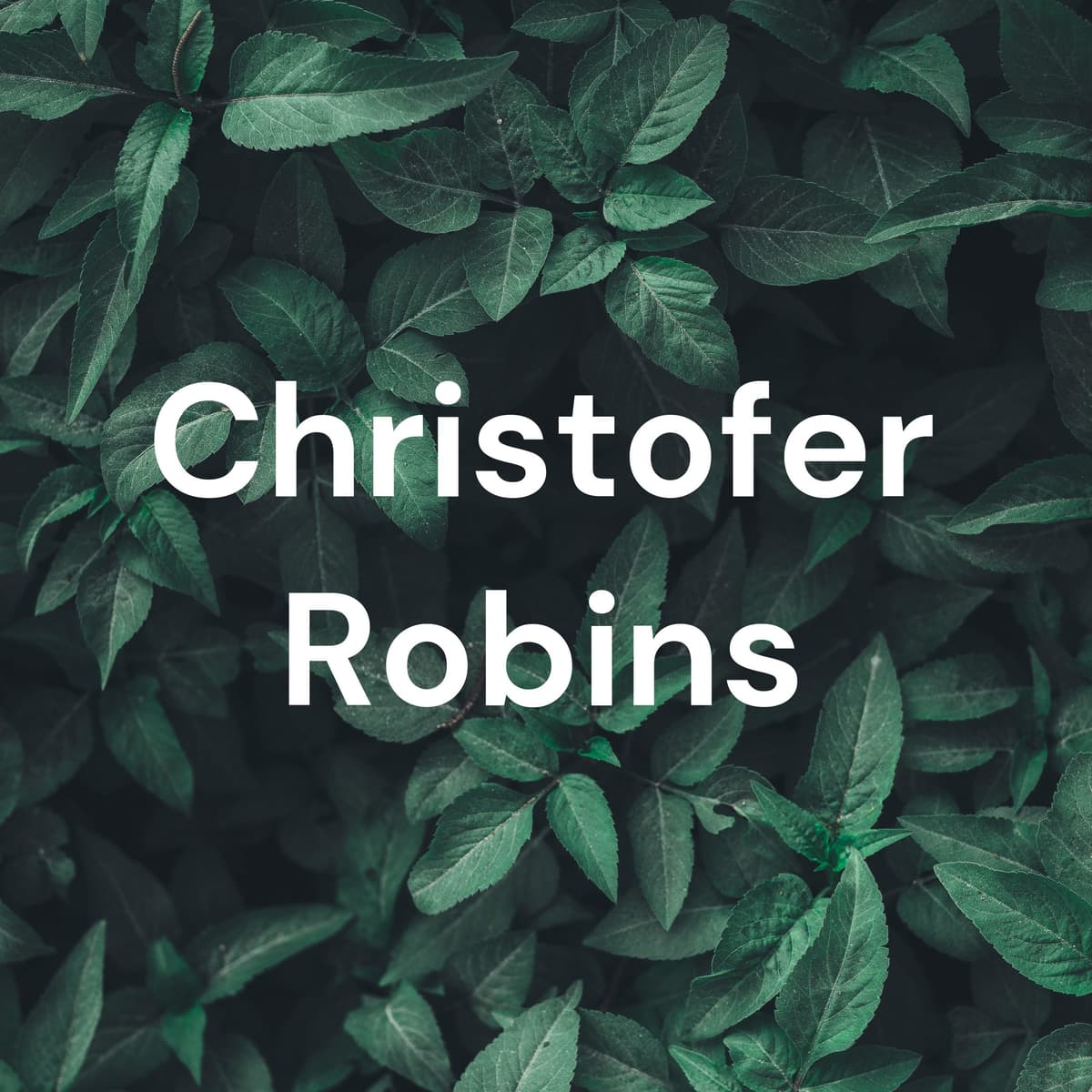 Los Años Maravillosos relato por Sebastian Canaveri - Christofer Robins cover