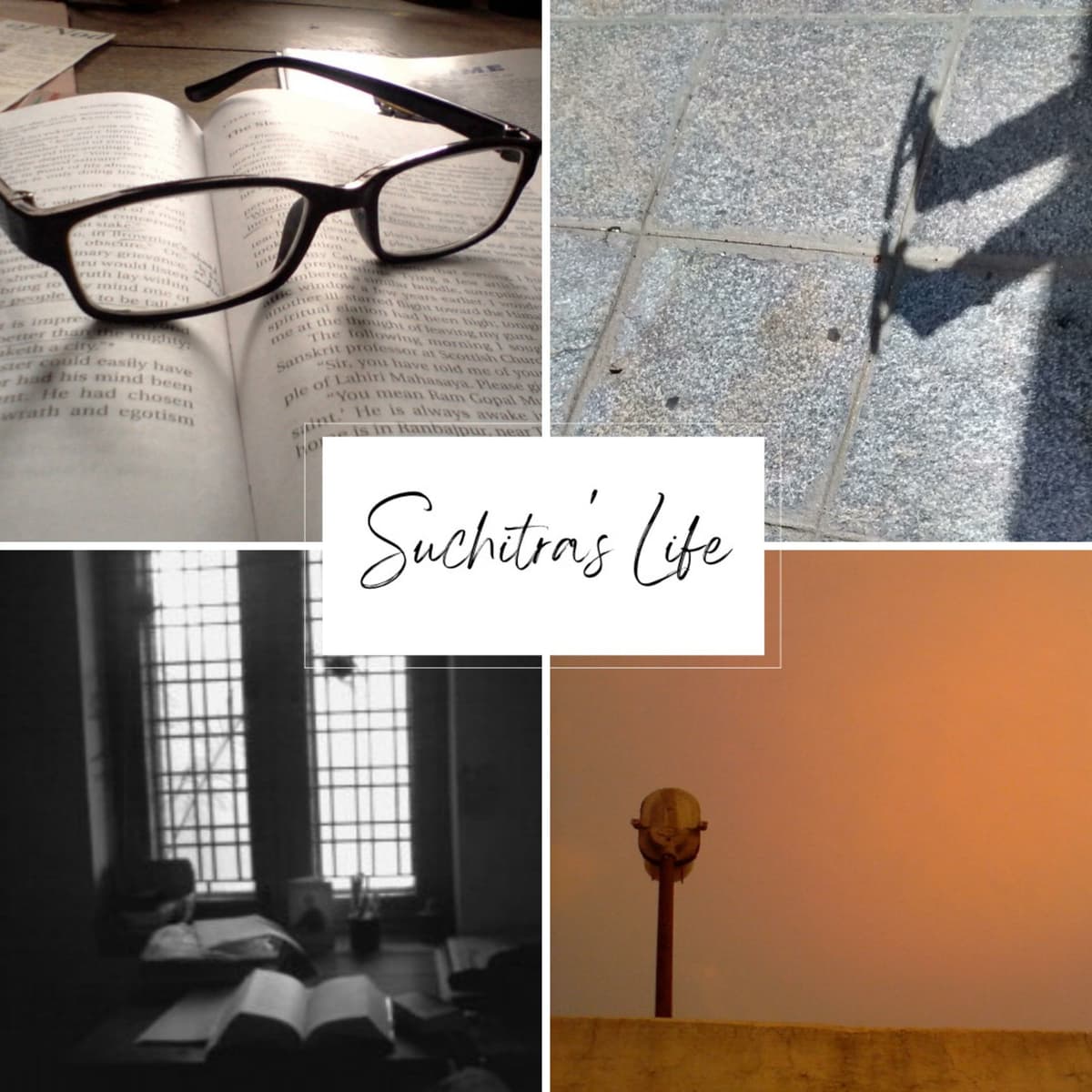 Purpose and Profit by Dan Koe - Suchitra's Life cover