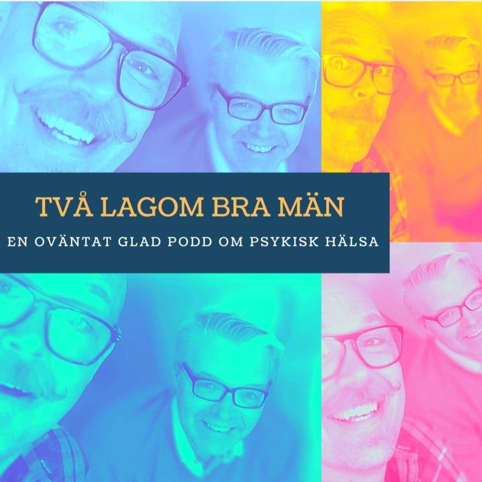 Två lagom bra män cover