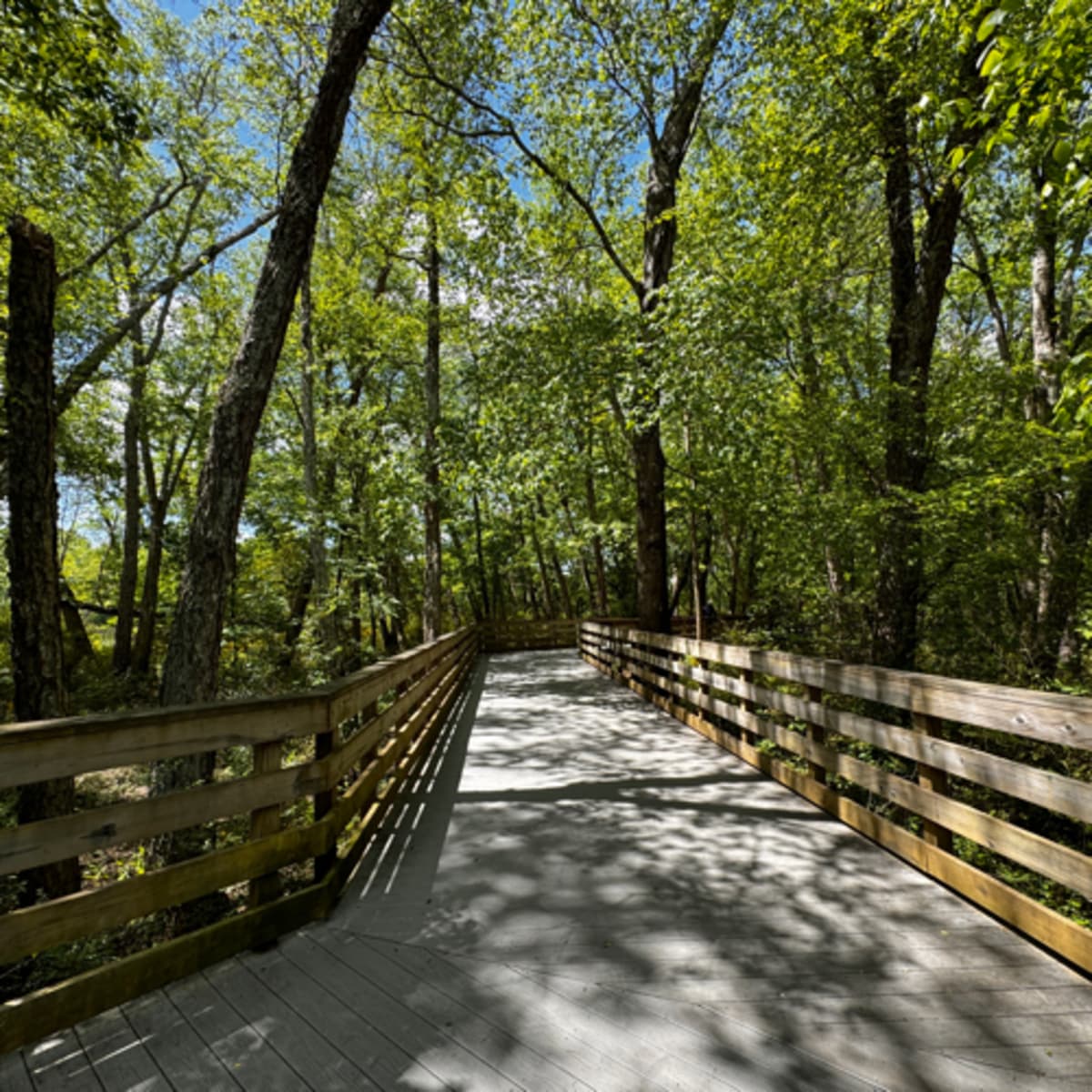 Letting go. Loving Again. The case *against * remarrying. - Not Spiraling! cover