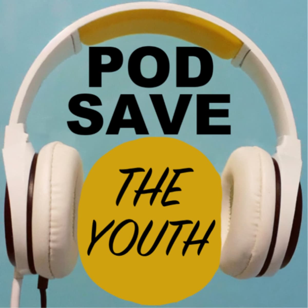 Flipping the House - Pod Save the Youth cover