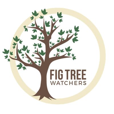 Friday Night Prophecy with Derek Gilbert (01-21-2022) - Fig Tree Watchers cover