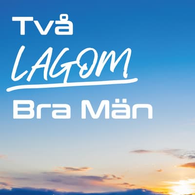 Ja, du låter ju inte så ledsen - Två lagom bra män cover