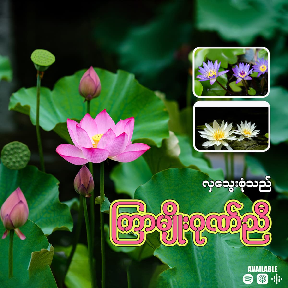 လှသွေးစုံသည် ကြာမျိုးဂုဏ်ညီ - Z-Lann cover